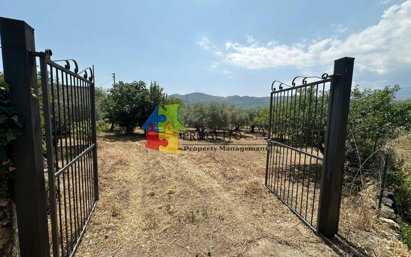 Villa unifamiliare via Castiglione, Castiglione di Sicilia — foto 15 di 36