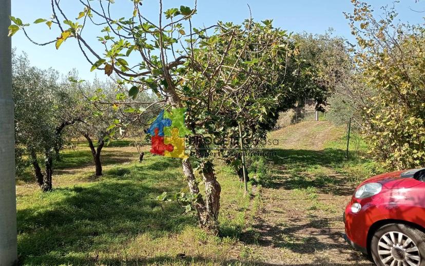 Villa unifamiliare via Castiglione, Castiglione di Sicilia — foto 26 di 36