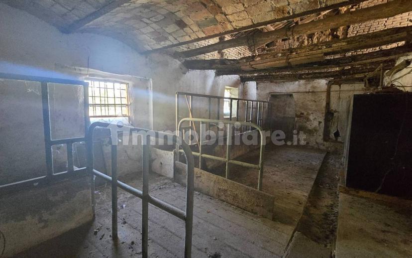 Cascina frazione Revignano, Vaglierano, Asti — foto 46 di 56