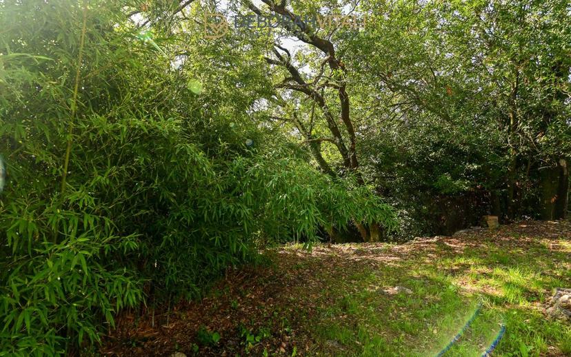 Villa unifamiliare Località Rocchetta 13, La Serra, Tellaro, Lerici — foto 10 di 48