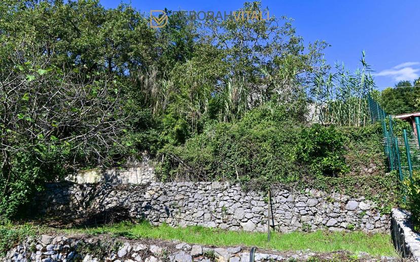 Villa unifamiliare Località Rocchetta 13, La Serra, Tellaro, Lerici — foto 20 di 48