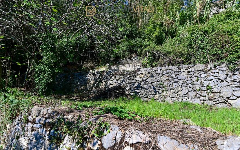 Villa unifamiliare Località Rocchetta 13, La Serra, Tellaro, Lerici — foto 48 di 48