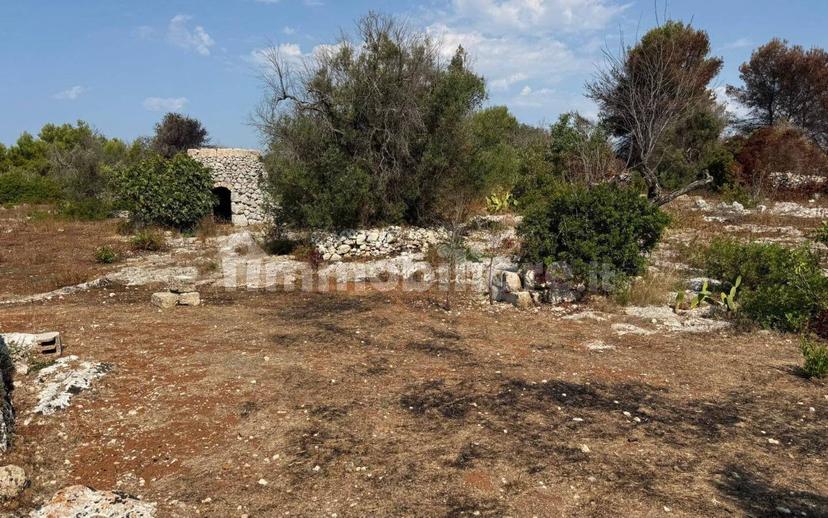 Villa unifamiliare via Pozzo Pasulo, Torre Vado, Morciano di Leuca — foto 6 di 14