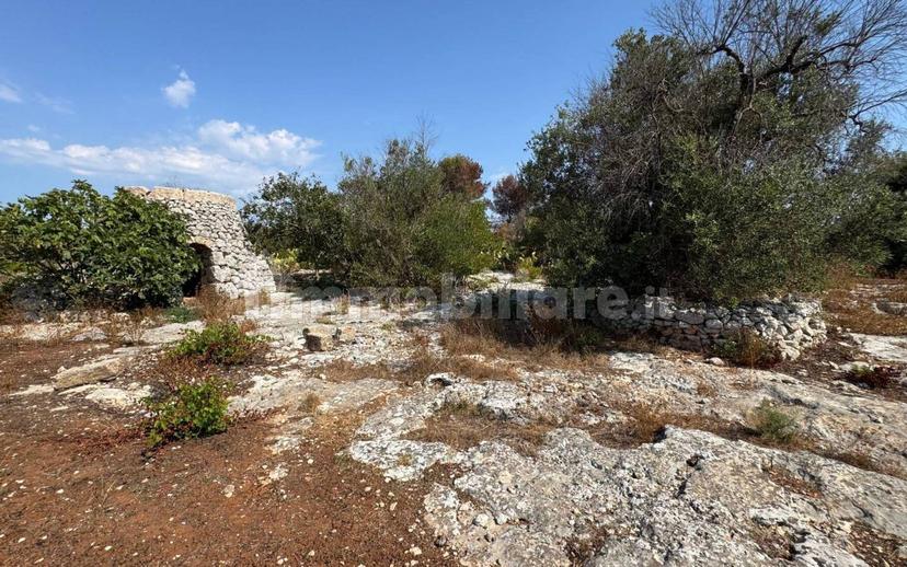 Villa unifamiliare via Pozzo Pasulo, Torre Vado, Morciano di Leuca — foto 8 di 14