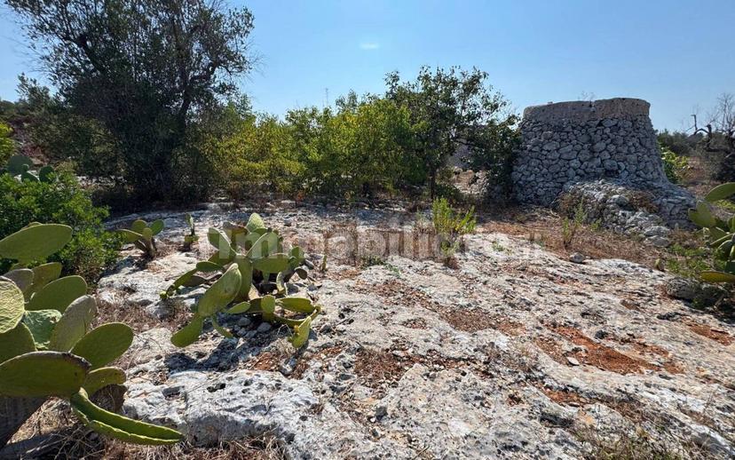 Villa unifamiliare via Pozzo Pasulo, Torre Vado, Morciano di Leuca — foto 12 di 14