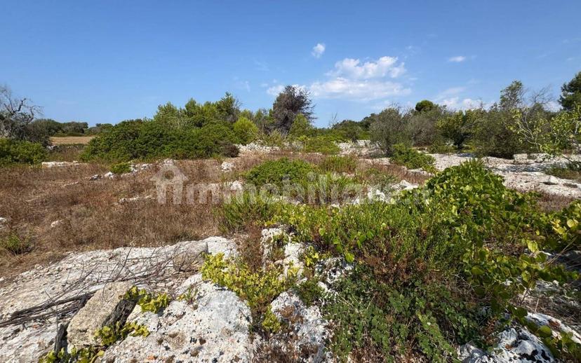 Villa unifamiliare via Pozzo Pasulo, Torre Vado, Morciano di Leuca — foto 7 di 14
