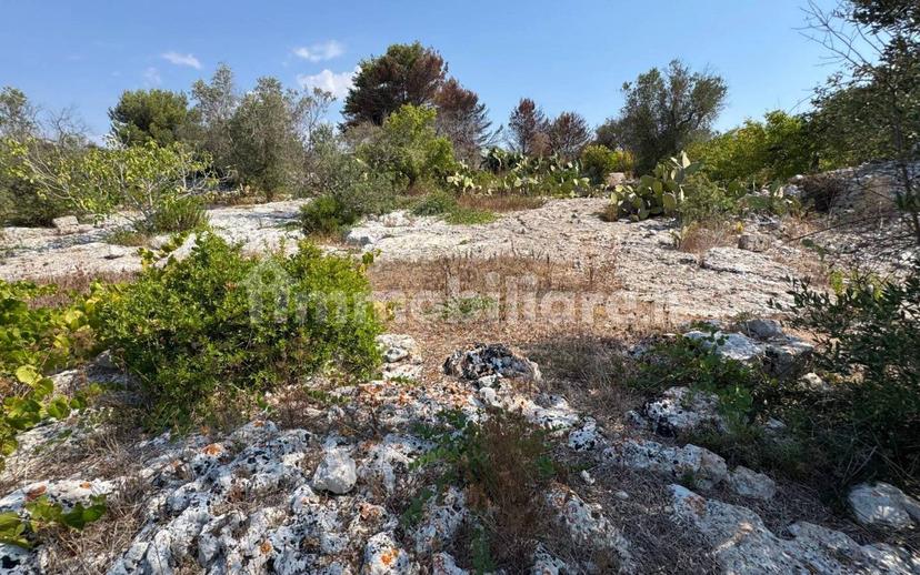 Villa unifamiliare via Pozzo Pasulo, Torre Vado, Morciano di Leuca — foto 9 di 14
