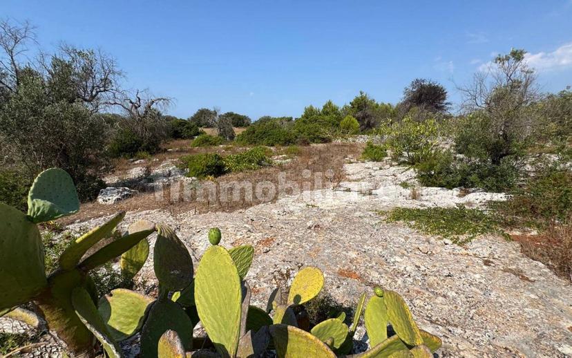 Villa unifamiliare via Pozzo Pasulo, Torre Vado, Morciano di Leuca — foto 13 di 14