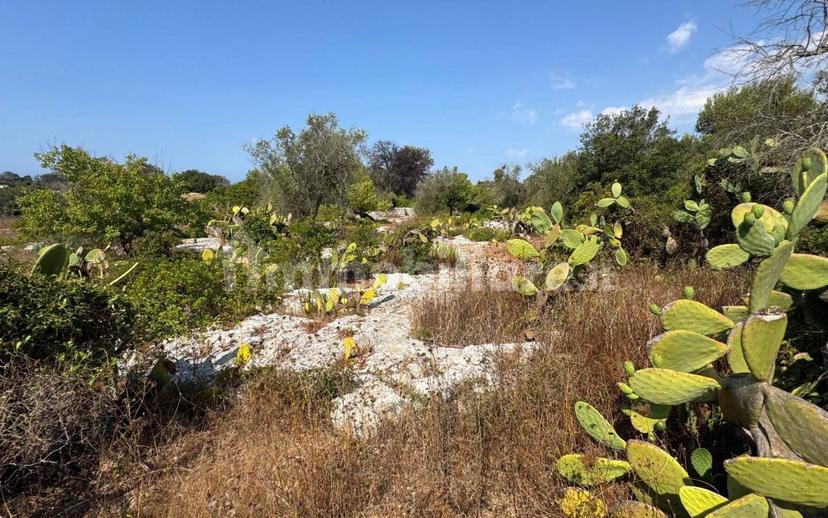 Villa unifamiliare via Pozzo Pasulo, Torre Vado, Morciano di Leuca — foto 5 di 14