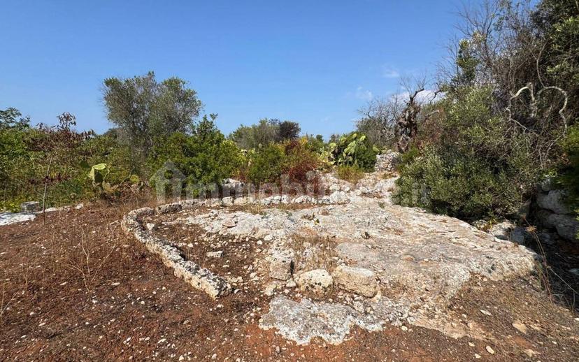 Villa unifamiliare via Pozzo Pasulo, Torre Vado, Morciano di Leuca — foto 10 di 14