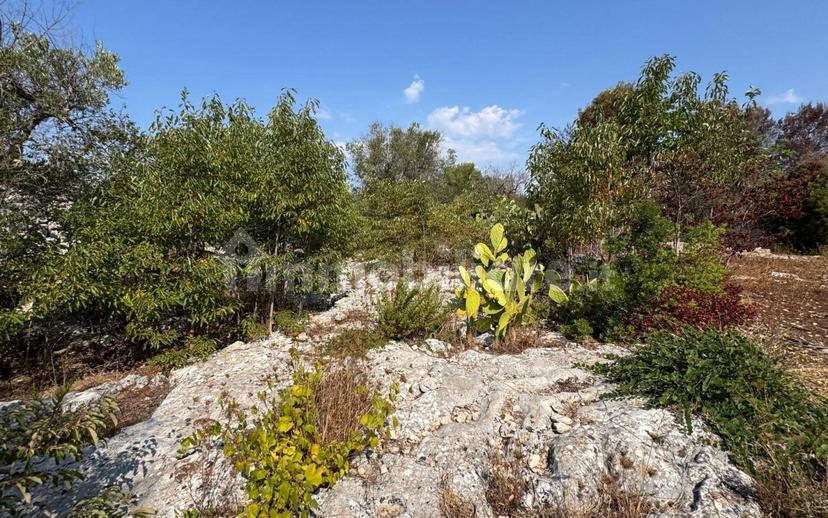 Villa unifamiliare via Pozzo Pasulo, Torre Vado, Morciano di Leuca — foto 11 di 14