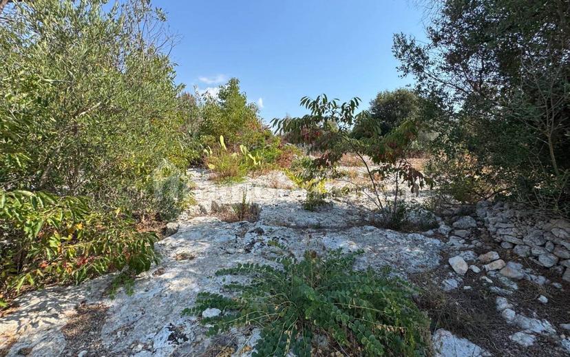 Villa unifamiliare via Pozzo Pasulo, Torre Vado, Morciano di Leuca — foto 14 di 14