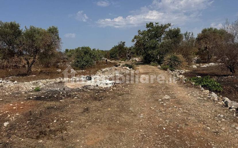 Villa unifamiliare via Pozzo Pasulo, Torre Vado, Morciano di Leuca — foto 4 di 14