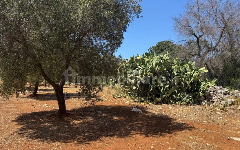 Villa unifamiliare Contrada Colacurto, Carovigno — foto 6 di 25