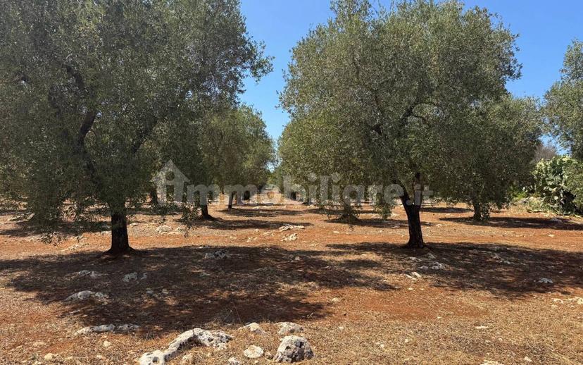 Villa unifamiliare Contrada Colacurto, Carovigno — foto 12 di 25