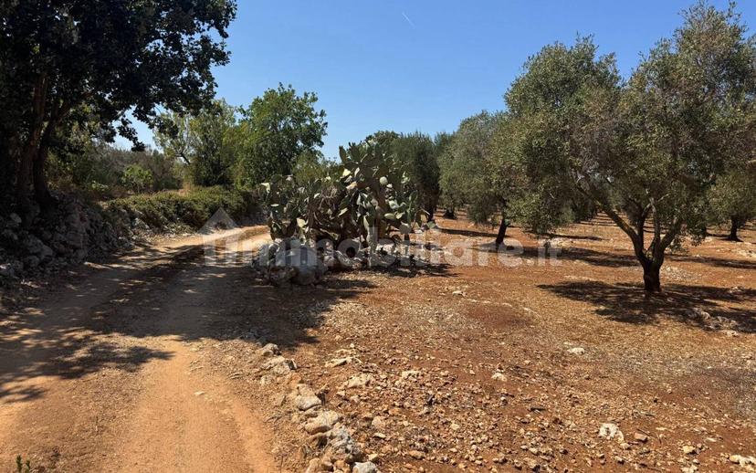 Villa unifamiliare Contrada Colacurto, Carovigno — foto 15 di 25