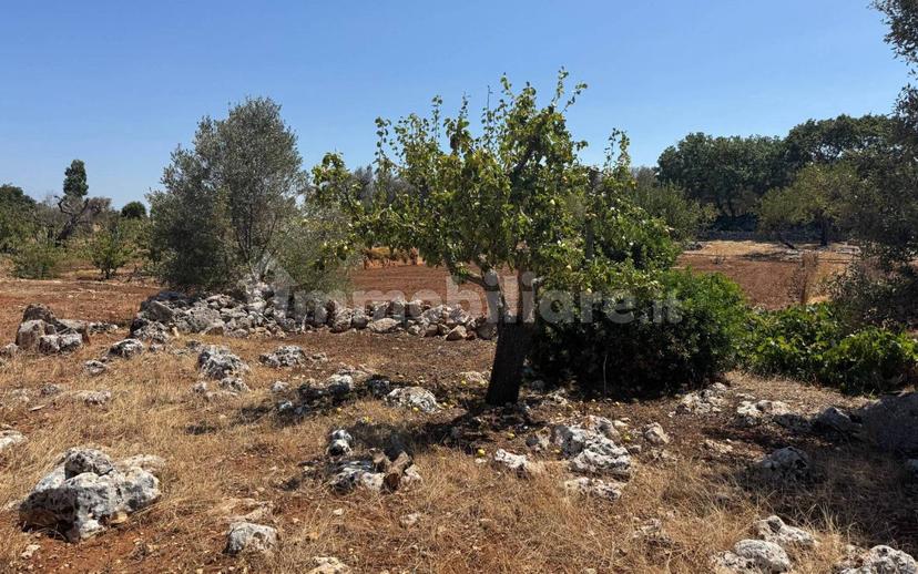 Villa unifamiliare Contrada Colacurto, Carovigno — foto 19 di 25