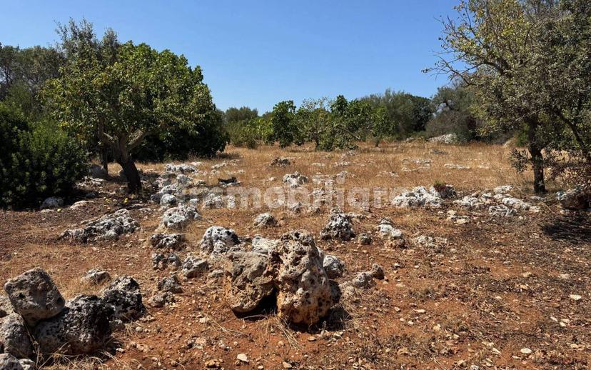 Villa unifamiliare Contrada Colacurto, Carovigno — foto 14 di 25