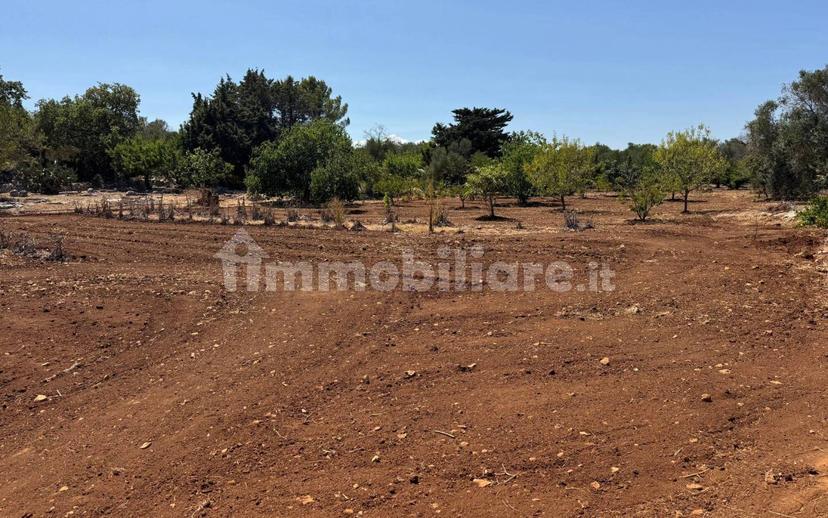 Villa unifamiliare Contrada Colacurto, Carovigno — foto 21 di 25