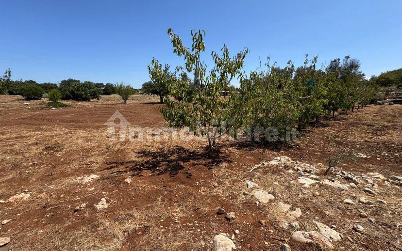 Villa unifamiliare Contrada Colacurto, Carovigno — foto 3 di 25