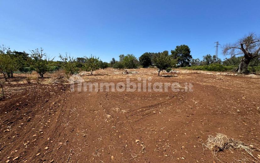 Villa unifamiliare Contrada Colacurto, Carovigno — foto 13 di 25