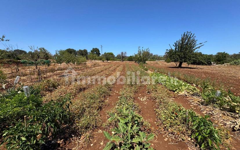 Villa unifamiliare Contrada Colacurto, Carovigno — foto 5 di 25
