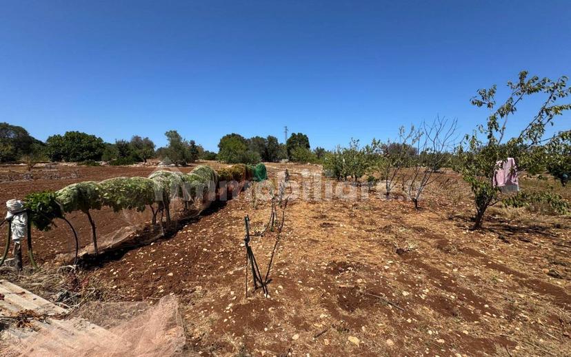 Villa unifamiliare Contrada Colacurto, Carovigno — foto 25 di 25
