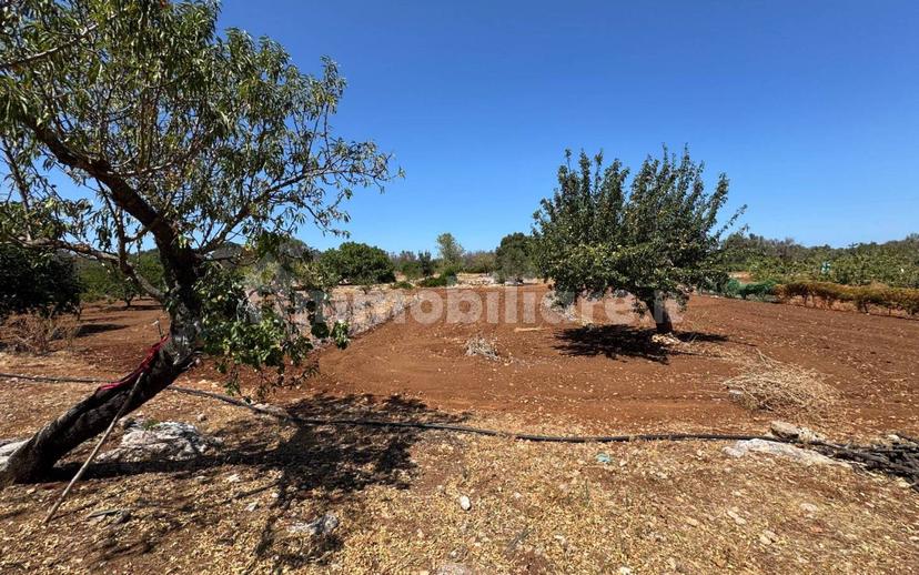 Villa unifamiliare Contrada Colacurto, Carovigno — foto 16 di 25