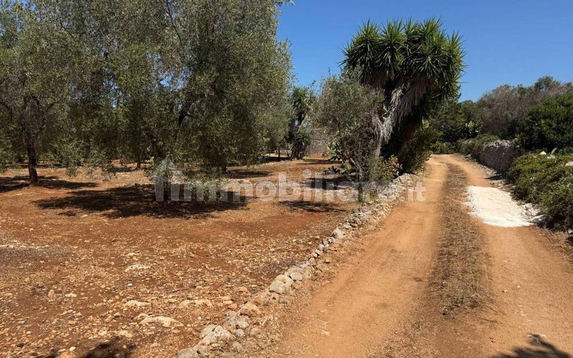Villa unifamiliare Contrada Colacurto, Carovigno — foto 10 di 25