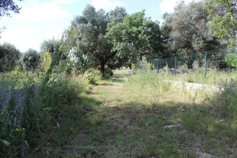 Rustico Contrada Puspo, Carovigno — foto 5 di 13
