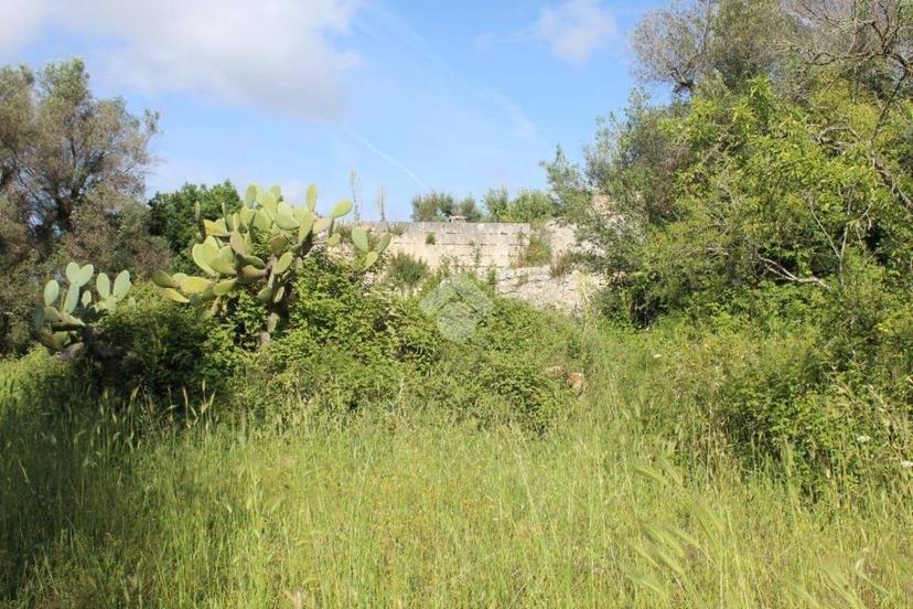 Rustico Contrada Puspo, Carovigno — foto 2 di 13