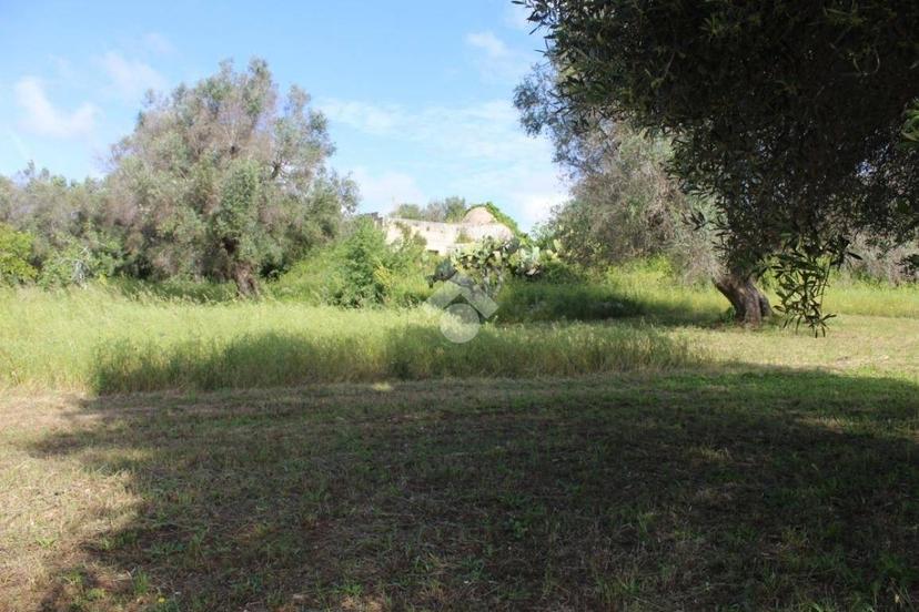 Rustico Contrada Puspo, Carovigno — foto 12 di 13