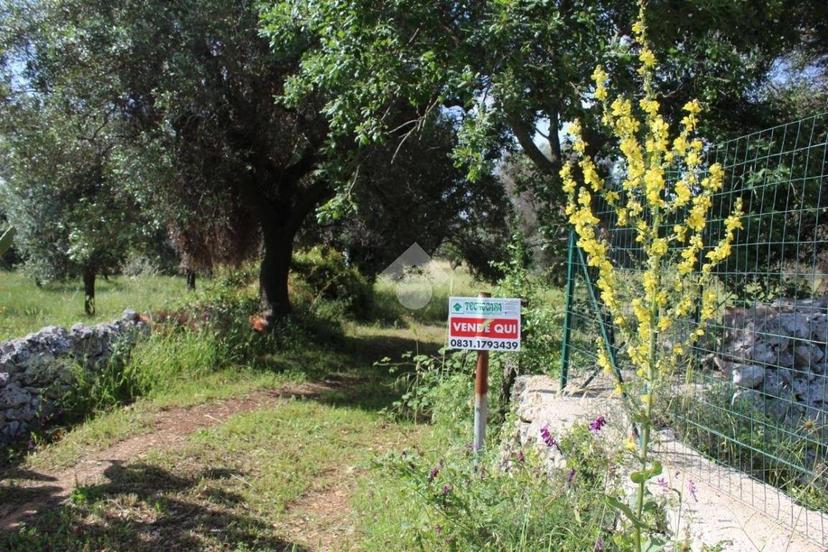 Rustico Contrada Puspo, Carovigno — foto 6 di 13