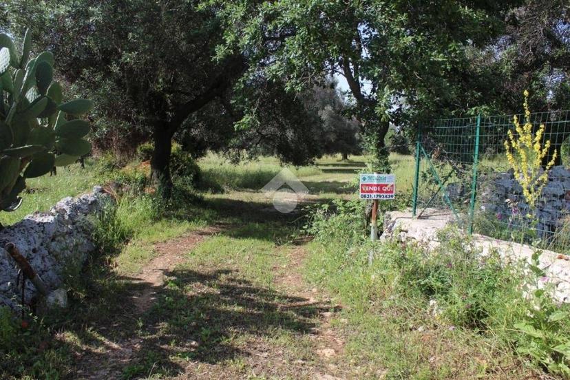 Rustico Contrada Puspo, Carovigno — foto 11 di 13