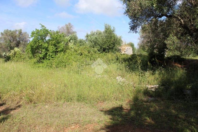 Rustico Contrada Puspo, Carovigno — foto 9 di 13