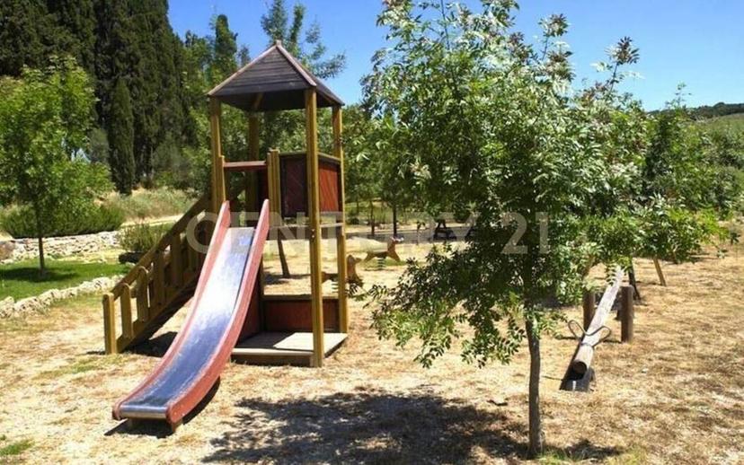 Casale Località Montalceto snc, Asciano — foto 30 di 46