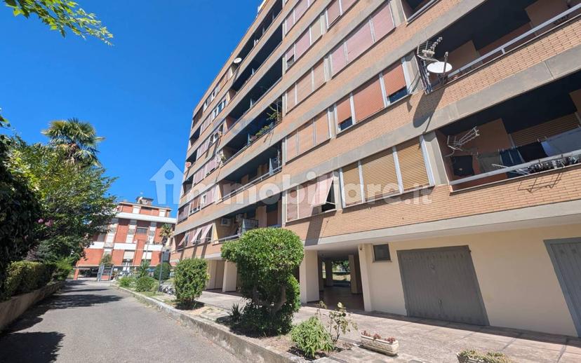 Quadrilocale via Friuli, Borgo Bovio, Terni — foto 6 di 25