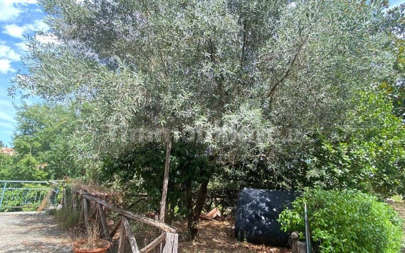 Villa unifamiliare Strada del Pontone, Pietrara, Vetralla — foto 5 di 32