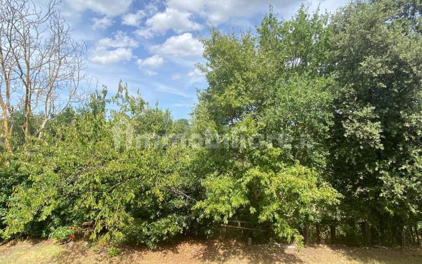 Villa unifamiliare Strada del Pontone, Pietrara, Vetralla — foto 10 di 32