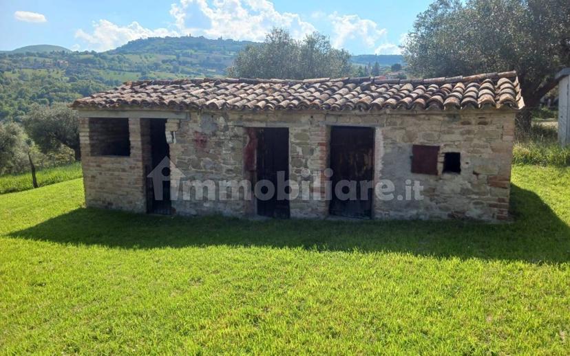 Casa colonica, da ristrutturare, 420 m², Torre, Cingoli — foto 6 di 33