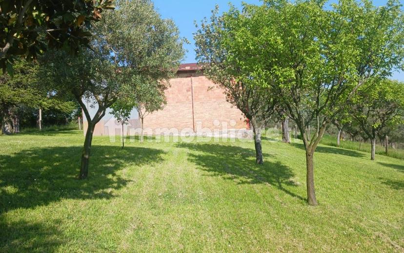 Casa colonica, da ristrutturare, 420 m², Torre, Cingoli — foto 17 di 33