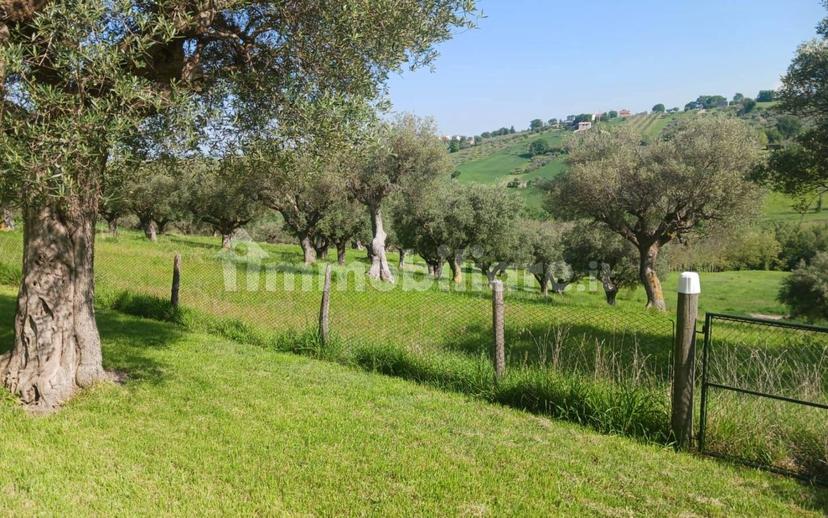 Casa colonica, da ristrutturare, 420 m², Torre, Cingoli — foto 13 di 33