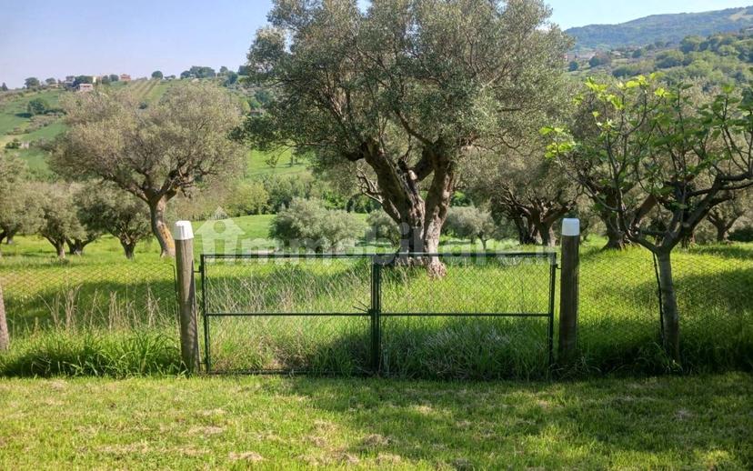 Casa colonica, da ristrutturare, 420 m², Torre, Cingoli — foto 8 di 33