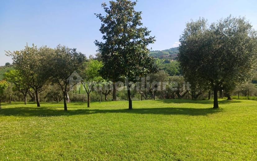 Casa colonica, da ristrutturare, 420 m², Torre, Cingoli — foto 9 di 33