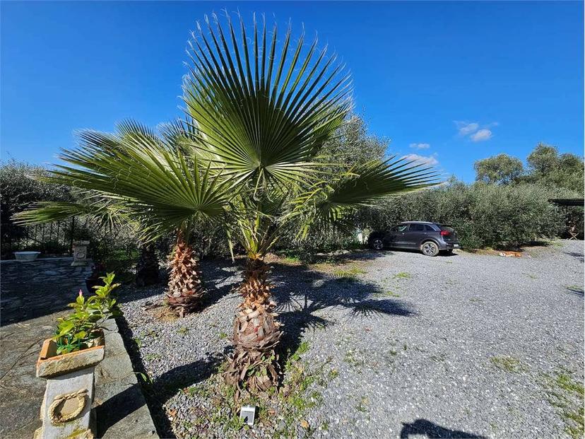 Villa unifamiliare via diano san pietro , 69, Centro, Diano Marina — foto 7 di 43