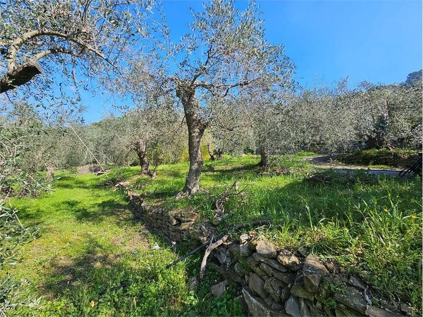 Villa unifamiliare via diano san pietro , 69, Centro, Diano Marina — foto 38 di 43