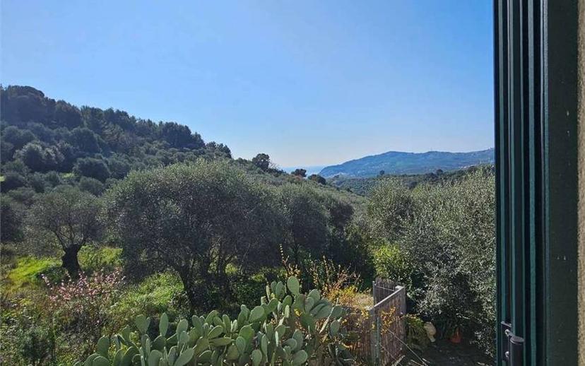 Villa unifamiliare via diano san pietro , 69, Centro, Diano Marina — foto 9 di 43