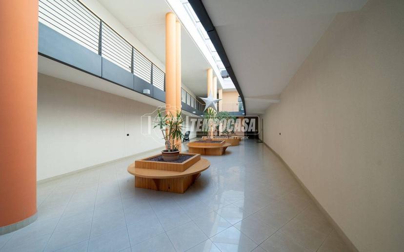 Trilocale piazza Salvo D'Acquisto, Montecchia, Feriole, Selvazzano Dentro — foto 2 di 22