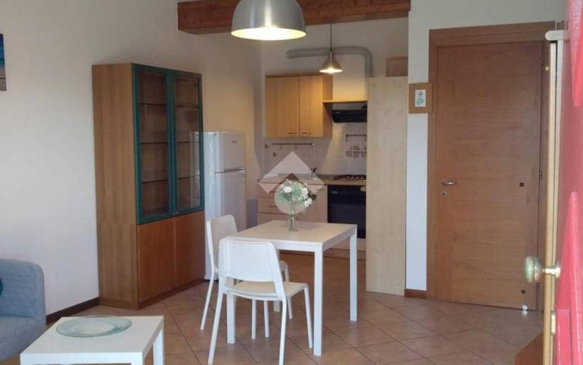 Bilocale buono stato, piano terra, Mira Taglio, Mira — foto 5 di 11