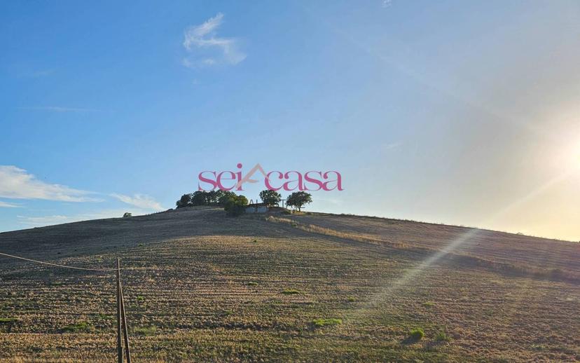 Rustico Borgo Santa Rita, Cinigiano — foto 6 di 26